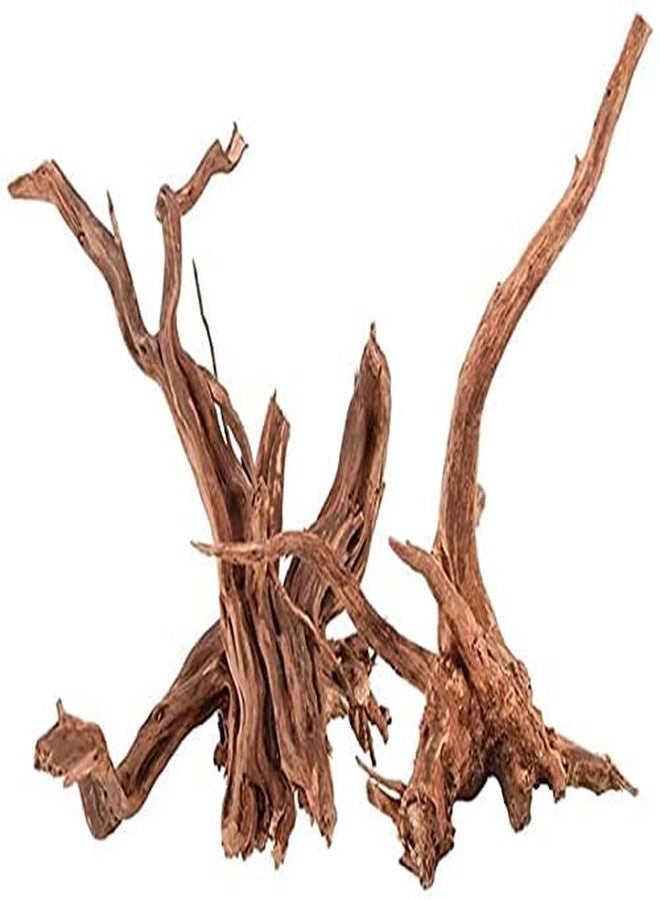 DEZIINE�1 Pcs Aquarium Driftwood 8 to 10Inch, Spider Wood Sinkable Driftwood for Fish Tank Decorations Natural Branches for Reptile - Image 1